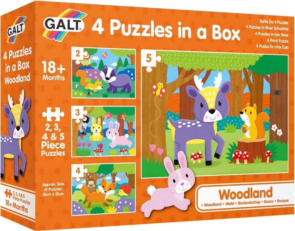 4 Puzzles in a Box - Woodland