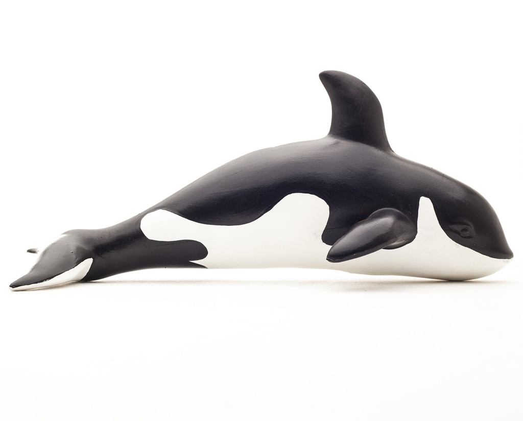 KILLER WHALE RUBBER TOY