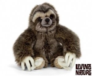 Plush Sloth