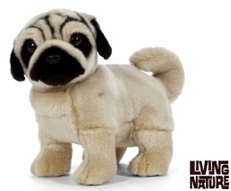 [5037832309006] Plush Pug