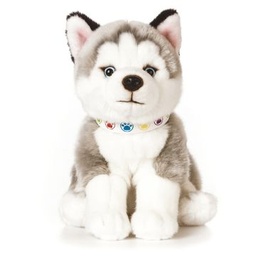 [5037832316363] Plush Husky Pup