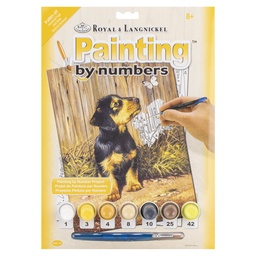 [5051237038590] Painting by Numbers Puppy