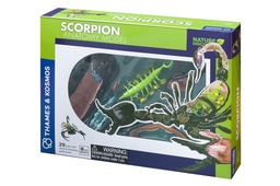 [5060282510920] Scorpion Anatomy Model