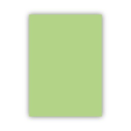 [8681241098005] Card light green 50x70cm 160g Adel