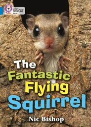 [9780007185832] Big Cat Blue Fantastic Flying Squirrel Non Fiction