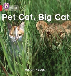 [9780007235872] Big Cat Red 2A Phonics Pet Cat, Big Cat Non Fict