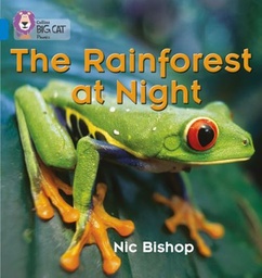 [9780007236053] Big Cat Blue Decod The Rainforest at Night Non Fic