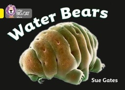 [9780007329236] Big Cat Yellow Water Bears Non Fiction