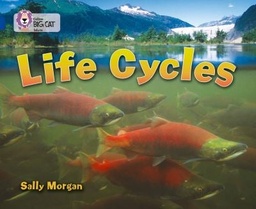 [9780007336401] Big Cat Sapphire Life Cycles Non Fiction