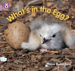 [9780007512607] Big Cat Lilac What's in The Egg? Non Fiction