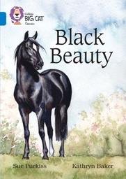 [9780008147297] Big Cat Sapphire Black Beauty