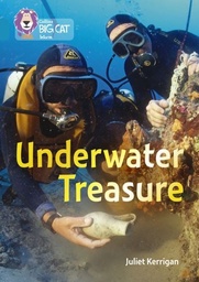 [9780008163846] Big Cat Topaz Underwater Treasure