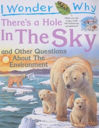 [9780753417041] I Wonder Why There's a Hole in the Sky