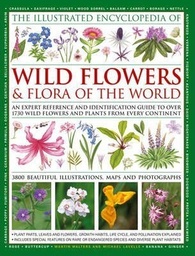 [9780754819721] Illustrated Encyclopedia of Wild Flowers AND Flora of the World