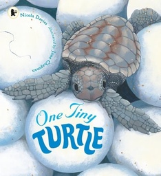 [9781406364637] One Tiny Turtle