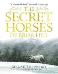 [9781406373554] The Secret Horses of Briar Hill