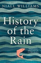 [9781408852033] History of the Rain (Paperback)