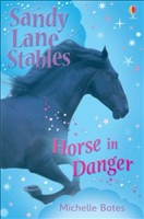 [9781409505174] Horse in Danger