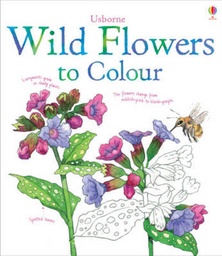 [9781409564980] Wild Flowers to Colour (Paperback)