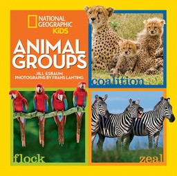 [9781426320606] Animal Groups