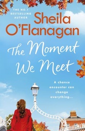 [9781473699113] Moment We Meet