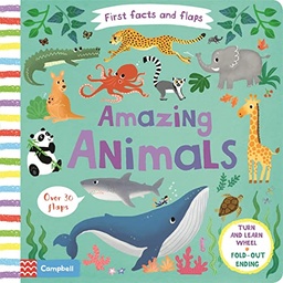 [9781509877034] Amazing Animals