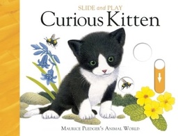 [9781626865747] Slide and Play Curious Kitten