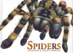 [9781782740452] Spiders, Scorpions Creepy Crawlies