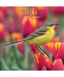 [9781785249372] Calendar 2018 Birds