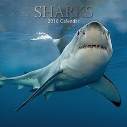 [9781785249549] Calendar 2018 Sharks