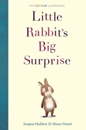 [9781788950299] LITTLE RABBITS BIG SURPRISE