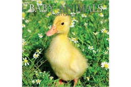 [9781839220050] Calendar 16 Month Baby Animals