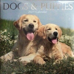 [9781839220166] Calendar 16 Month 2021 Dogs and Puppies