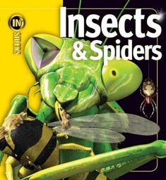 [9781840117226] INSECTS AND SPIDERS