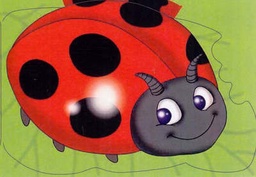 [9781845312343] My Chunky Friend Storybook Ladybird