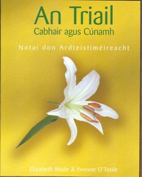 [9781845361402] An Triail EDCO Leabhar Notai