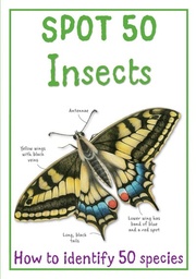 [9781848102507] SPOT 50 INSECTS