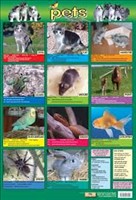 [9781904217541] POSTER PETS