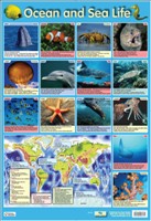 [9781904217572] POSTER OCEAN AND SEA LIFE