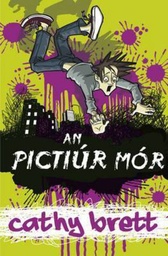 [9781906907945] An Pictur Mor