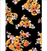 [9781908150776] Florals Journal