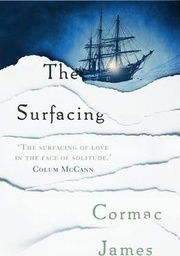 [9781908737984] The Surfacing