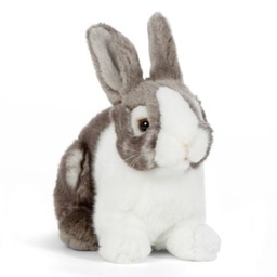 [5037832320698] Grey Pet Rabbit Living Nature