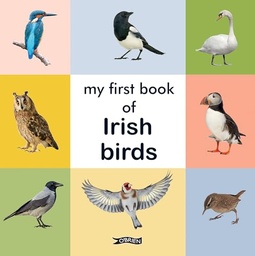 [9781788494816] My First Book of Irish Birds