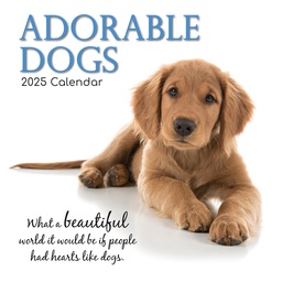 [9781837889037] Calendar 2025 Square Wall - Adorable Dogs