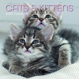 [9781837889747] Calendar 2025 Square Wall - Cats & Kittens