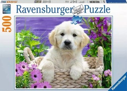 [4005556148295] Puzzle 500pc - Sweet Golden Retriever