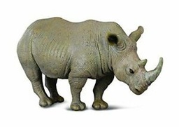 [4892900880310] White Rhino Bigjigs