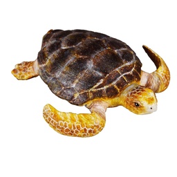 [4892900880945] Turtle Loggerhead