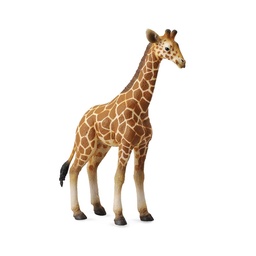 [4892900885353] Giraffe Calf